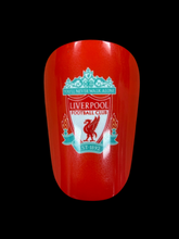 Load image into Gallery viewer, Mini Shin Guards