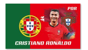 Soccer Team Flags - The Art of Soccer Shop