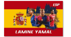 Soccer Team Flags - The Art of Soccer Shop