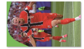 Soccer Team Flags - The Art of Soccer Shop