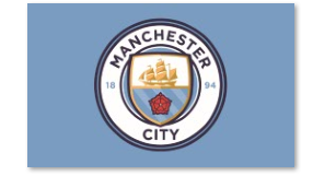 Soccer Team Flags - The Art of Soccer Shop