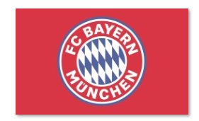 Soccer Team Flags - The Art of Soccer Shop