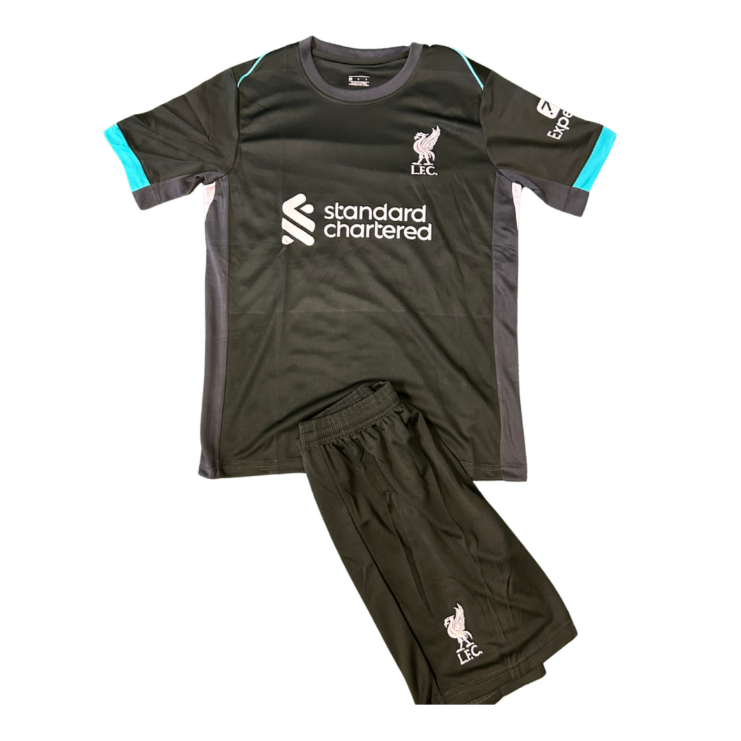 Liverpool 24/25 Adult Away Kit