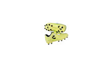 Load image into Gallery viewer, Charly Boys Hotcross Soccer Cleats FG( Lemon)
